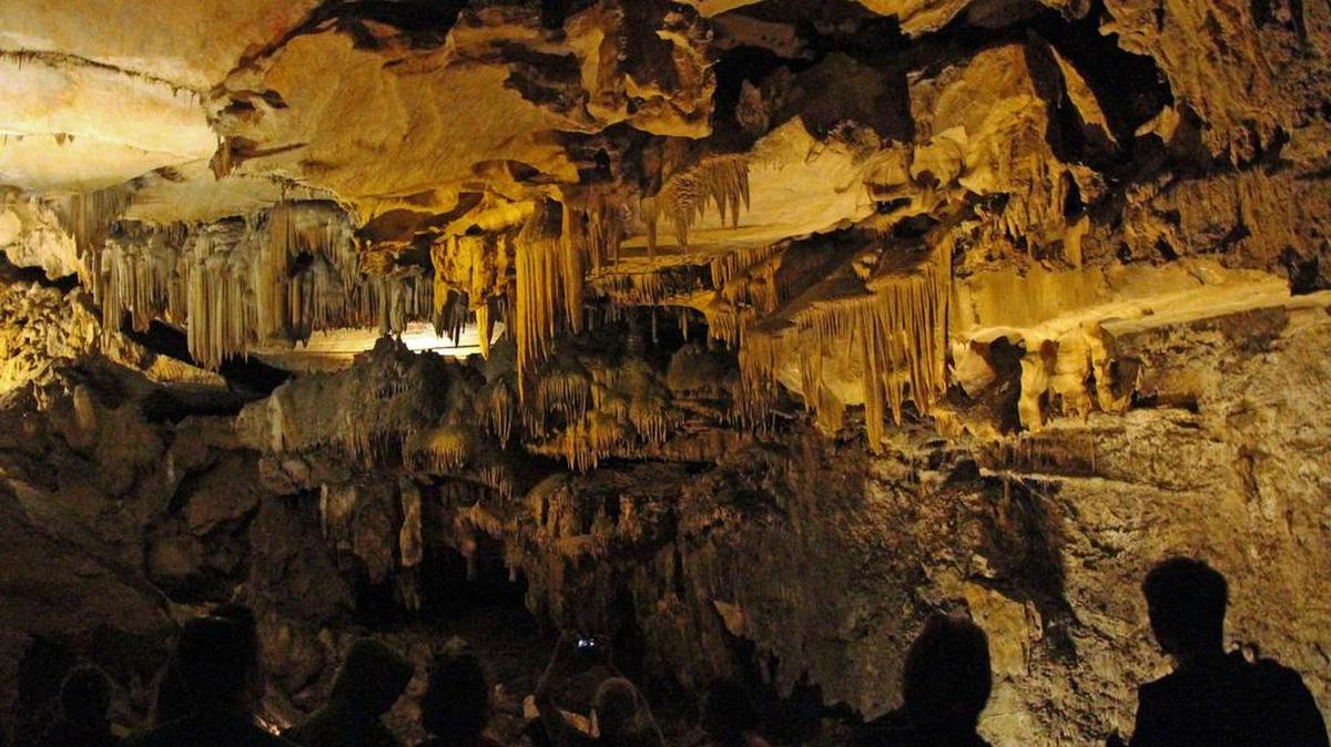 If you’ve never been to Sequoia National Park before, Crystal Cave is a must-see. It’s one of the top destinations in the park.