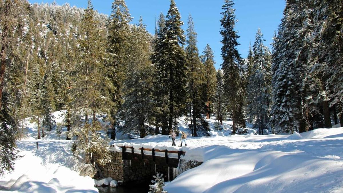 Start of a snowshoe trail.
