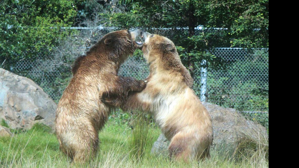 Blauert on Outdoors: Zoos can be fun outdoor activity
